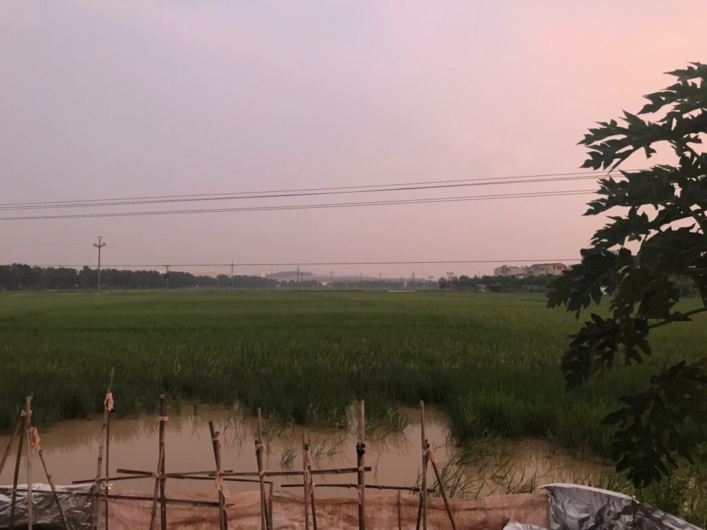 バクニンの風景